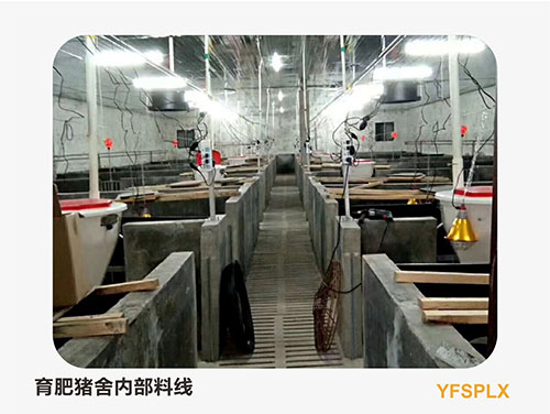 養(yǎng)豬料線清洗的必要性以及注意事項